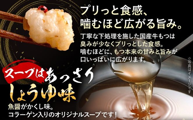 もつ鍋 【国産牛使用】肉屋が作ったこだわりのもつ鍋 醤油味 3～4人前 セット 国産牛 もつ ホルモン 牛もつ モツ鍋 牛ホルモン 鍋 福岡 九州 鍋セット お取り寄せ グルメ おつまみ
