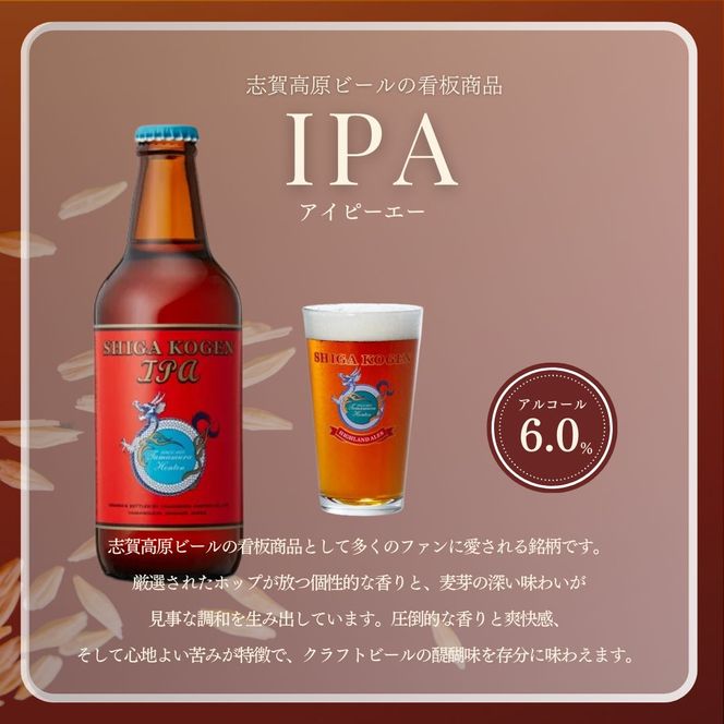 父の日 定期便 3ヶ月 志賀高原ビール12本セット 【 クラフトビール 志賀高原ビール 飲み比べセット 玉村本店 ビール 詰め合わせ セット 地ビール 飲み比べ 黒ビール IPA ipa ペールエール 酒 お酒 長野 定期 お楽しみ 3回 】