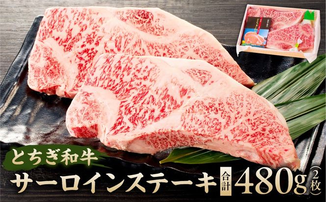 ns032-004 とちぎ和牛サーロインステーキ