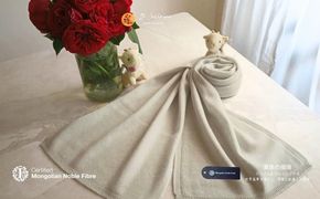 G3320 『Noble Fibre』100％カシミヤ・マフラー グレージュ【高級 カシミア おしゃれ ファッション 防寒 かしみあ】