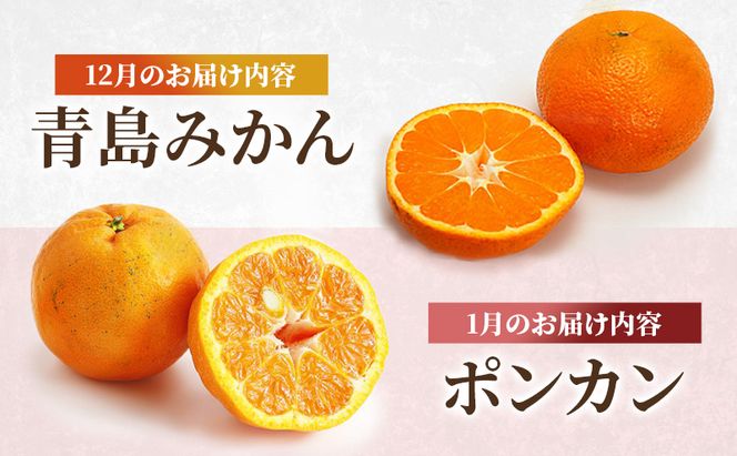 定期便 2回 先行予約 【 桃 白桃 7月頃 梨 9月頃 】白鳳 特製桃源郷錦 約1kg、清流錦梨 約5kg もも モモ なし フルーツ 果物 デザート お楽しみ 2026年発送 配送不可:離島 