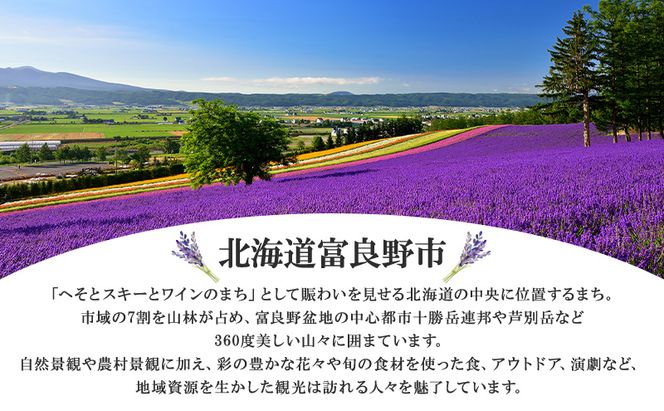 新富良野プリンスホテル 宿泊券 ワーケーションルーム  (ホテル 宿泊 素泊まり チケット 旅行 体験 トラベル リゾート 北海道 富良野市 ふらの)