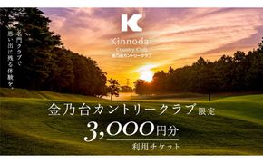 金乃台カントリークラブ 利用 チケット 【 3,000円 分】 1,000円 × 3枚 ゴルフ クラブ ゴルフ場 クーポン プレー券 入場券 利用券 施設利用券 体験チケット 茨城県 牛久市 関東 [CI003us]