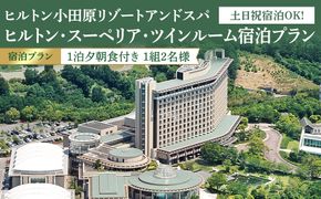 【チケット有効期限延長！】土日祝宿泊OK!　ヒルトン・スーペリア・ツインルーム宿泊プラン　1泊夕朝食付き＜1組2名様＞★オーシャンビュー！天然温泉大浴場、プール施設利用含む【 ツインルーム オーシャンビュー 土日祝宿泊OK 神奈川県 小田原市 】 142069_BG006