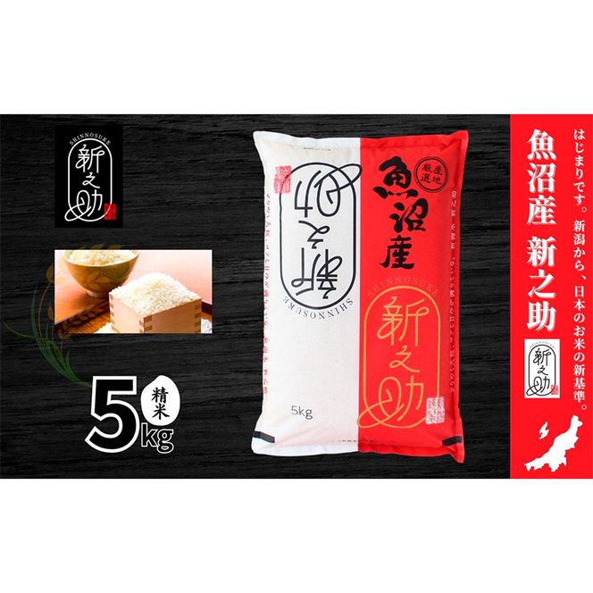 【令和7年産】魚沼産新之助(精米)5kg 米 お米 精米 しんのすけ 中魚沼 新潟県 十日町市
