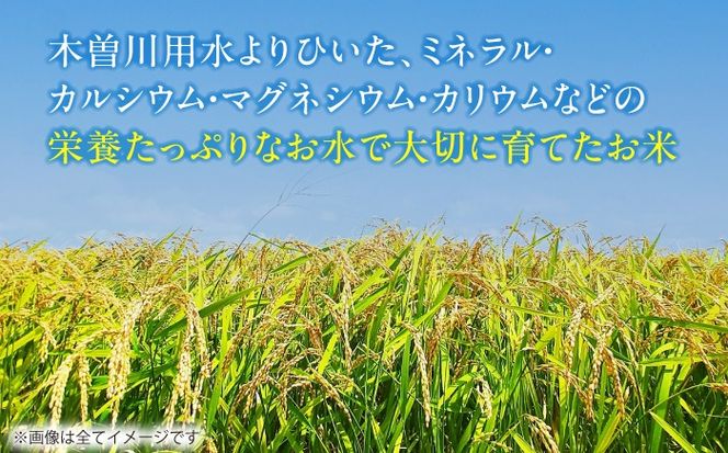 【6回定期便】あいちのかおり 白米 10kg×6か月 / 脇野コンバイン[AECP008]