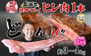定期便 12ヶ月 飛騨牛 ヒレ肉 1本 A4～A5等級 約3～4kg  3割×6  ヒレ シャトーブリアン 肉 牛肉 ブランド牛 お肉 和牛 贅沢 お取り寄せ ご褒美 ステーキ 豪華 グルメ 焼肉 BBQ ギフト 贈り物 自家用 贈答用 送料無料 焼肉マルイ 岐阜県 安八町