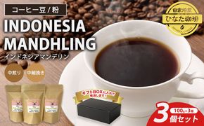 コーヒー 豆 粉（インドネシア マンデリン 中煎り 中細挽き）100g × 3個セット | ミディアムロースト ギフトBOX付き コーヒー 珈琲 自家焙煎 ひなた珈琲 幸田町 送料無料