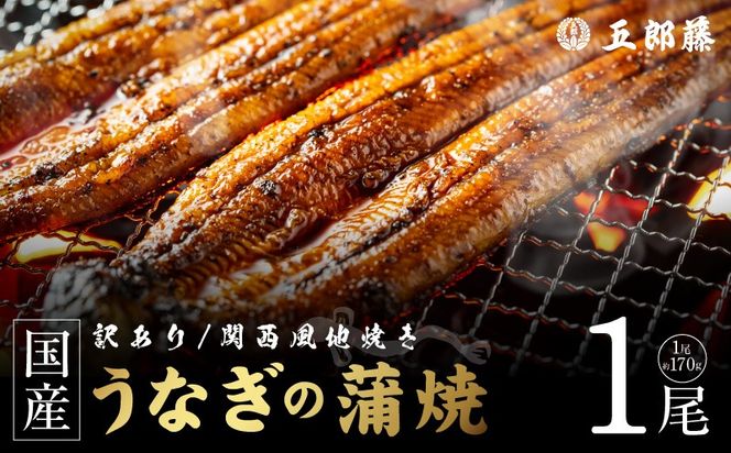 099H5075 【訳あり】老舗「五郎藤」関西風地焼き 国産有頭旨鰻 170g前後×1尾 うなぎ ウナギ 蒲焼き 炭火