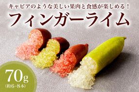 【先行受付】フィンガーライム　70g 【0094-003】