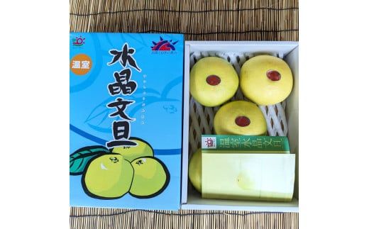 土佐市産 水晶文旦 約5kg (7～8玉）文旦 ぶんたん ブンタン すいしょうぶんたん ハウス栽培 甘い 高級 果物 柑橘 フルーツ 果物 ご当地 お取り寄せ ５キロ
