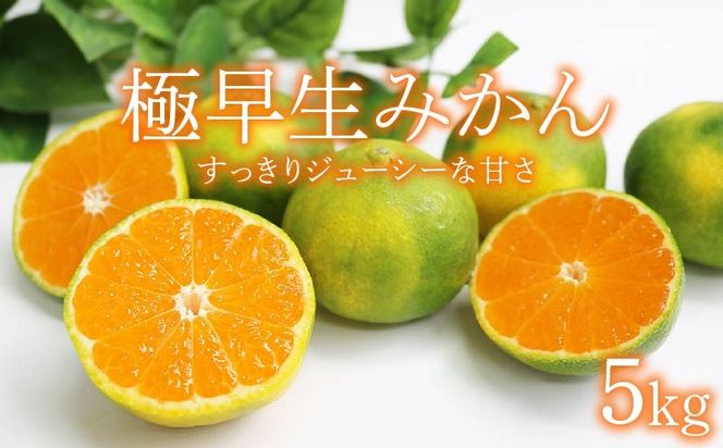 ymˎszys\z ̌b݂Ղ藁т ςÂ ɑ݂ 5kg `ʌ` [rk049]