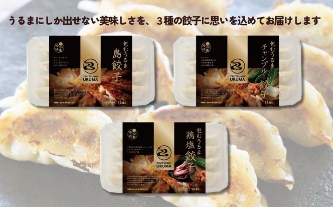 【ふるさと納税】包むうるま餃子　３種セット（島餃子・鶏塩餃子・チャンプルー餃子）　 餃子　豚肉　ゴーヤー　鶏　鶏肉　沖縄　中華