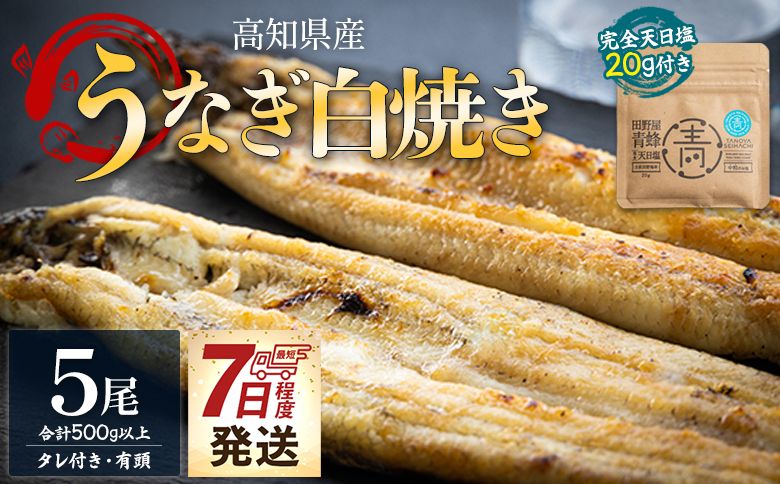 白焼き 国産うなぎ 高知県産 白焼き 5尾(100〜110g×5尾) 合計500g以上 [7日程度で発送] 田野町完全天日塩 20g付き 黒箱 yw-0086