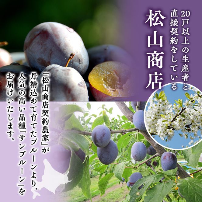 [先行受付] 北海道仁木町産 プルーン 800g ( サンプルーン ) 厳選品 果物 フルーツ 国産 高糖度 ほどよい酸味 北海道産プルーン 国産プルーン [松山商店]