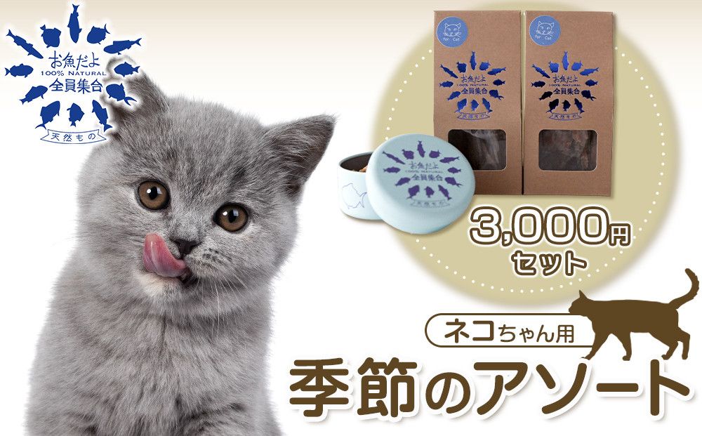 お魚だよ全員集合 季節のアソートセット 3,000円セット ネコちゃん用 141305_KY03