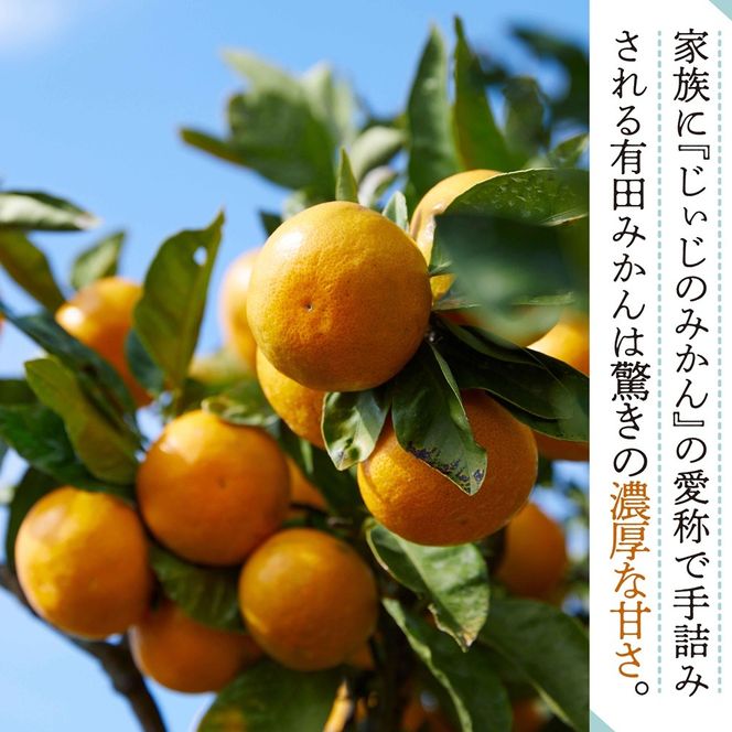 和歌山県有田みかん じぃじのみかん 約5kg EC004