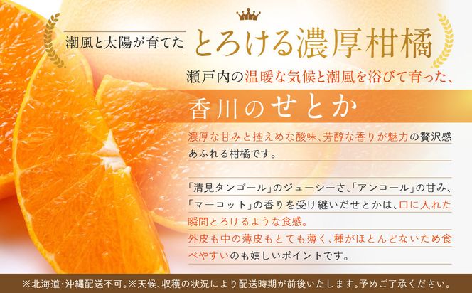 ≪香川・高松≫ご褒美ふるーつ「温室せとか」約2.5kg【2027年2月上旬からお届け】 372013_MD016