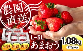 【農園直送】糸島のあまおう 270g×4パック (サイズおまかせL〜5L) 果物 フルーツ いちご / 糸島市 / 磯本農園 / TANNAL[ATB004]