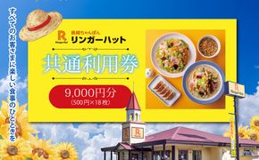 エリア限定 リンガーハット グループ 共通 利用券　9000円（500円×18枚）
