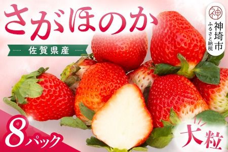 【先行受付 令和9年1月より発送】佐賀県産『さがほのか』8Pセット【いちご 苺 イチゴ 大粒 果物 フルーツ デザート ふるさと納税】(H108104)