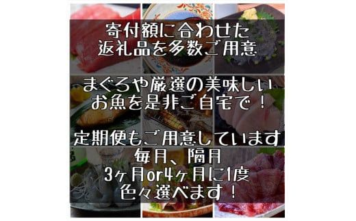 梅くらげ 2本【くらげ 珍味 おつまみ 梅しそ 惣菜 海鮮 塩辛 珍味 お取り寄せ 御中元 お中元 お歳暮 父の日 母の日 贈り物 日本酒 焼酎】【神奈川県小田原市早川】 142069_DQ368