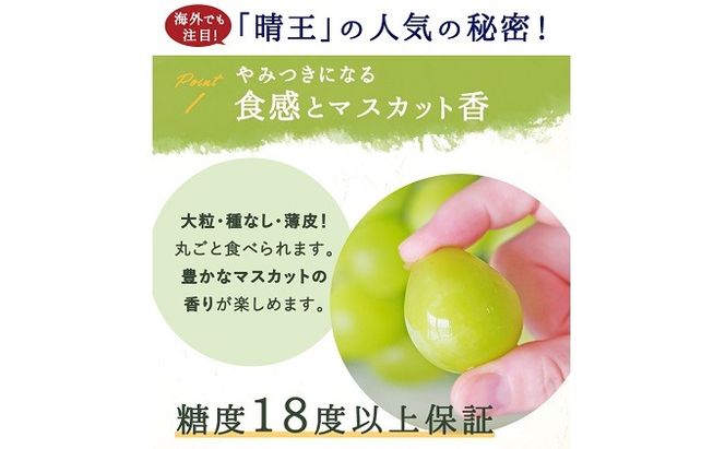 ぶどう 2026年 先行予約 シャイン マスカット 晴王 1房 700g前後 ブドウ 葡萄 岡山県産 国産 フルーツ 果物 ギフト 果物類 種無し デザート 食後 おやつ 産地直送