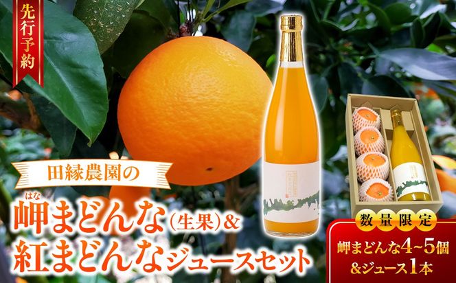 【先行予約】【数量限定】田縁農園の岬（はな）まどんな生果＆紅まどんなジュースセット （2026年12月10日より順次発送） IKTA004