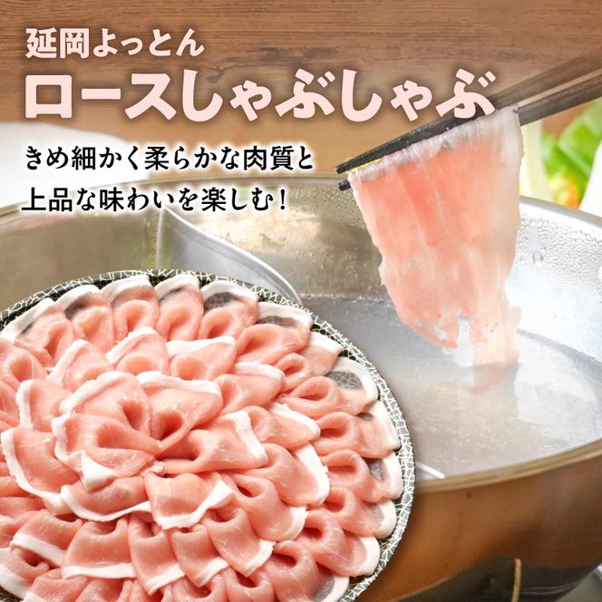 延岡よっとん＆宮崎県産豚 皿盛り2皿セット 各600g×1 N0220-YA5536