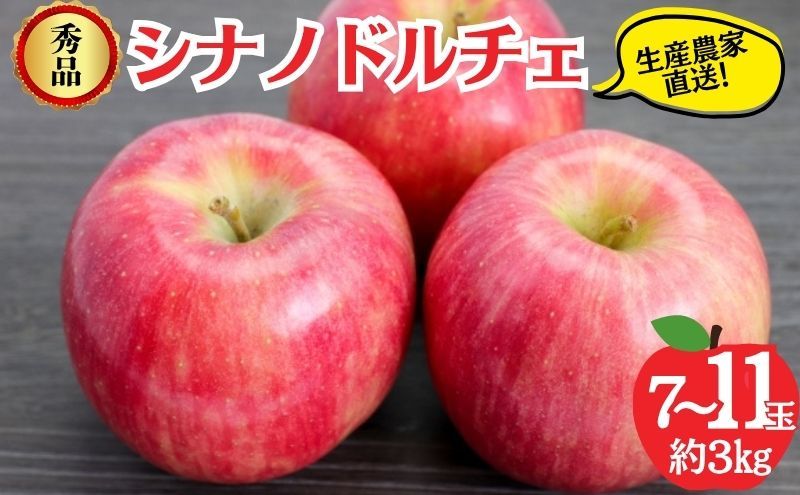 [レビューCP実施中][2026年9月〜発送]シナノドルチェ 秀品 約3kg 7〜11玉 りんご 果物 信州 長野