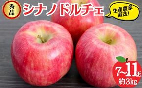 【2026年9月～発送】シナノドルチェ 秀品 約3kg 7～11玉 りんご 果物 信州 長野