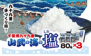山武の海の塩８０ｇ×３個パック　SMCI001