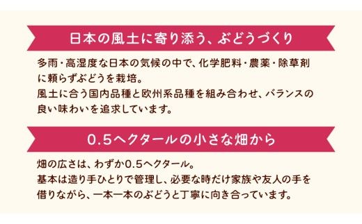 歩wine wild flower2025 ( 750ml ) 日本ワイン 牛久市 ブドウ 自然派ワイン 無濾過 ファーストヴィンテージ マスカット・ベーリーA ビジュノワール メルロー バルベーラ ワイン 酒 赤ワイン わいん