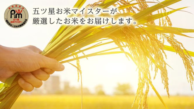 《 令和6年産 》 茨城県産 無洗米 コシヒカリ ( 5kg × 1袋 )  期間限定 こしひかり 米 コメ こめ 五ツ星 高品質 白米 精米 時短 単一米 [AC035us]