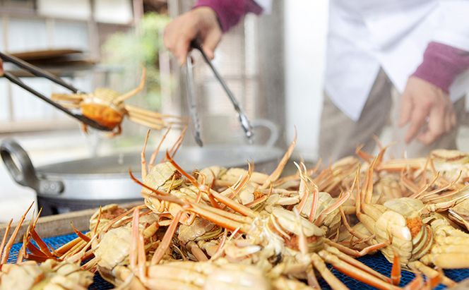 新物 セコガニ コッペがに ほぐし身（大サイズ）3個セット 甲羅盛り〈お申込み～2026年7月中旬発送〉 蟹 カニ かに 松葉蟹 松葉ガニ ズワイガニ ボイル