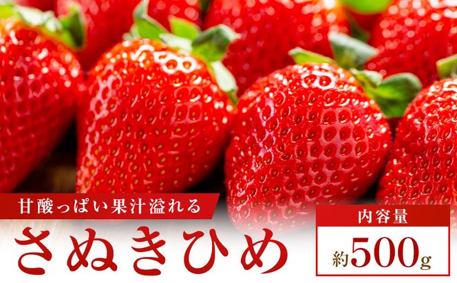 【食べきりサイズ】さぬきひめいちごDXパック　約500g 372013_T006-807J