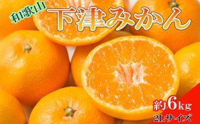 ［産直・秀品］和歌山下津みかん約6kg（2Lサイズ）★2026年11月中旬頃より順次発送［TM75］ 303446_XH92131