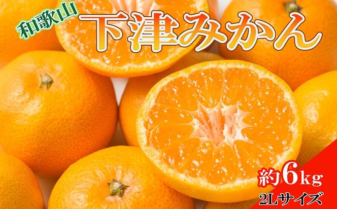 ［産直・秀品］和歌山下津みかん約6kg（2Lサイズ）★2026年11月中旬頃より順次発送［TM75］ 303446_XH92131