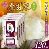 【新米予約】金芽米 無洗米 米 令和8年 宮城県 加美産 ひとめぼれ 特別栽培米 120kg （ 5kg × 24袋 ） [ 宮城県 加美町 ] km-km-knm120-r8 | km-km-knm120-r8
