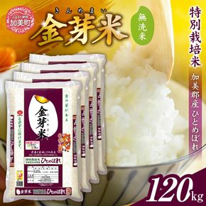 【新米予約】金芽米 無洗米 米 令和8年 宮城県 加美産 ひとめぼれ 特別栽培米 120kg （ 5kg × 24袋 ） [ 宮城県 加美町 ] km-km-knm120-r8 | km-km-knm120-r8