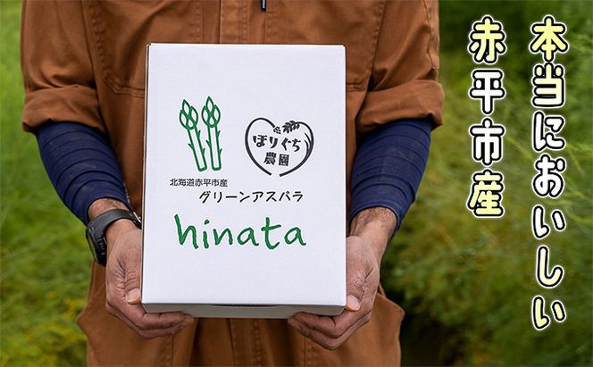 アスパラ 北海道 約1.5kg！朝採り 露地限定グリーンアスパラ（M・Sサイズ混合）［ほりぐち農園］※2026年5月中旬出荷開始先行予約  野菜 アスパラガス 旬 とれたて お取り寄せ 産地直送 