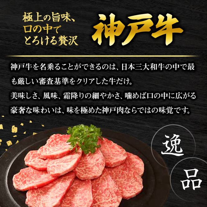 神戸牛 福袋 帝神 おまかせコース E  ロースステーキ 肩ローススライス もも焼肉 ももステーキ ももすき焼き用 すじ肉