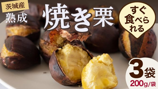  【 吉原農場 の 完熟栗 】 熟成 焼き栗 3袋 ( 200g × 3袋 ) R7年産 完熟 栗 くり クリ 栗ごはん 贈答 ギフト 果物 フルーツ 数量限定 旬 秋 冬 正月 おせち [CX020ci]