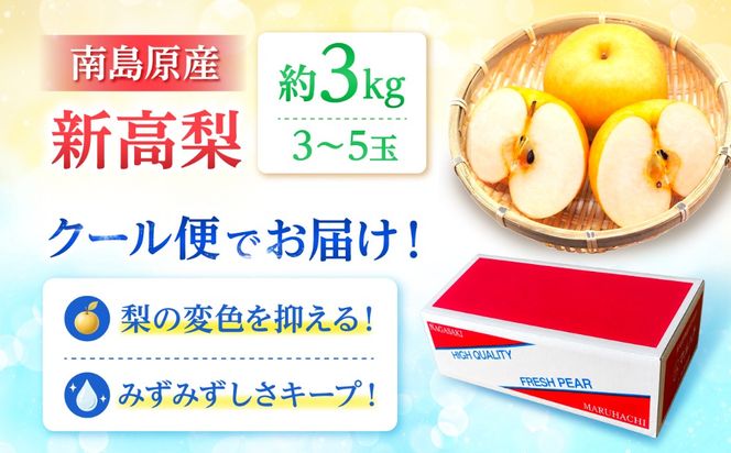 【9〜10月発送】【梨の王様】 こだわり 新高梨 約3kg / 梨 ナシ フルーツ 果物 旬 先行予約 産地直送 家庭用 国産 / 南島原市 / 株式会社マルハチ[SFG001]