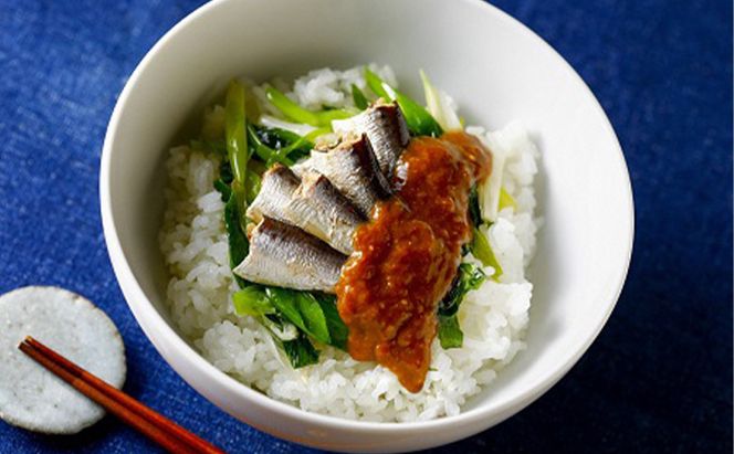 竹中罐詰 オリジナルセット 17点詰め合わせ オイルサーディン 加工食品 魚貝類 オリジナルセット 詰め合わせ 缶詰 佃煮 いわし 牡蠣 沖ぎす 