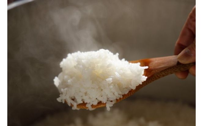 【12カ月定期便】新潟米新之助（精米）2kg お米 コメ 