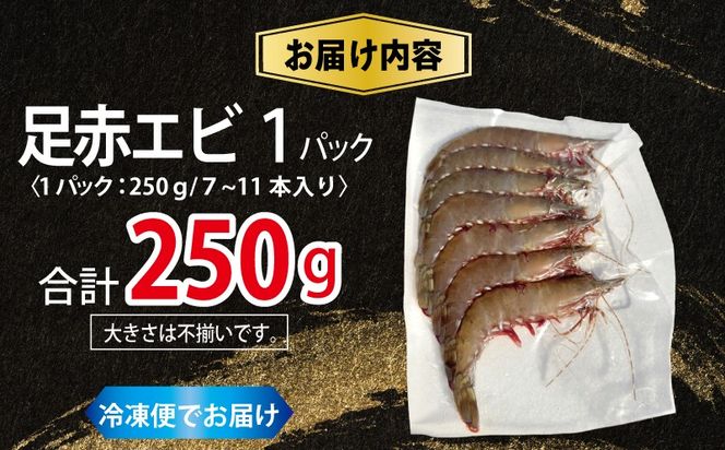 010B1862 足赤エビ 250g【国産 えび 天然 ぷりぷり 海鮮 水揚げ 生食可】