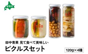 漬物 田中青果 見て食べて美味しい ピクルスセット 4種類 漬物 漬け物 野菜 お酢 酢 国産 北海道産 豆 玉ねぎ カリフラワー 人参 長いも ギフト 贈り物 R014-045