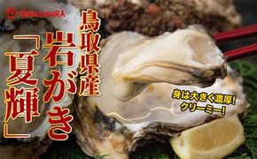 鳥取県産 岩がき「夏輝」【中村商店】 312011_AC016