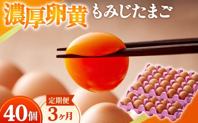 濃厚卵黄もみじたまご【40個入り】【3ヶ月連続】定期便 [No.934]